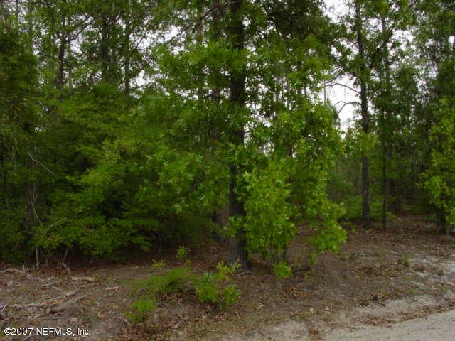 44 Block M Street Buchanan, GA 30113 - Photo 3 of 3 a green field with lots of trees