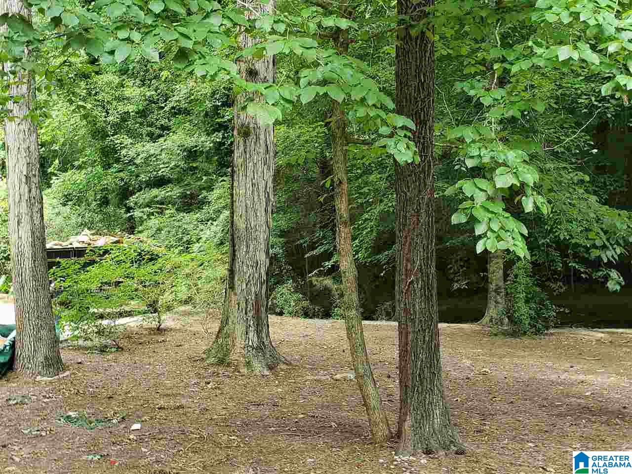 3551 Valley Circle Birmingham, AL 35243 - Photo 9 of 47