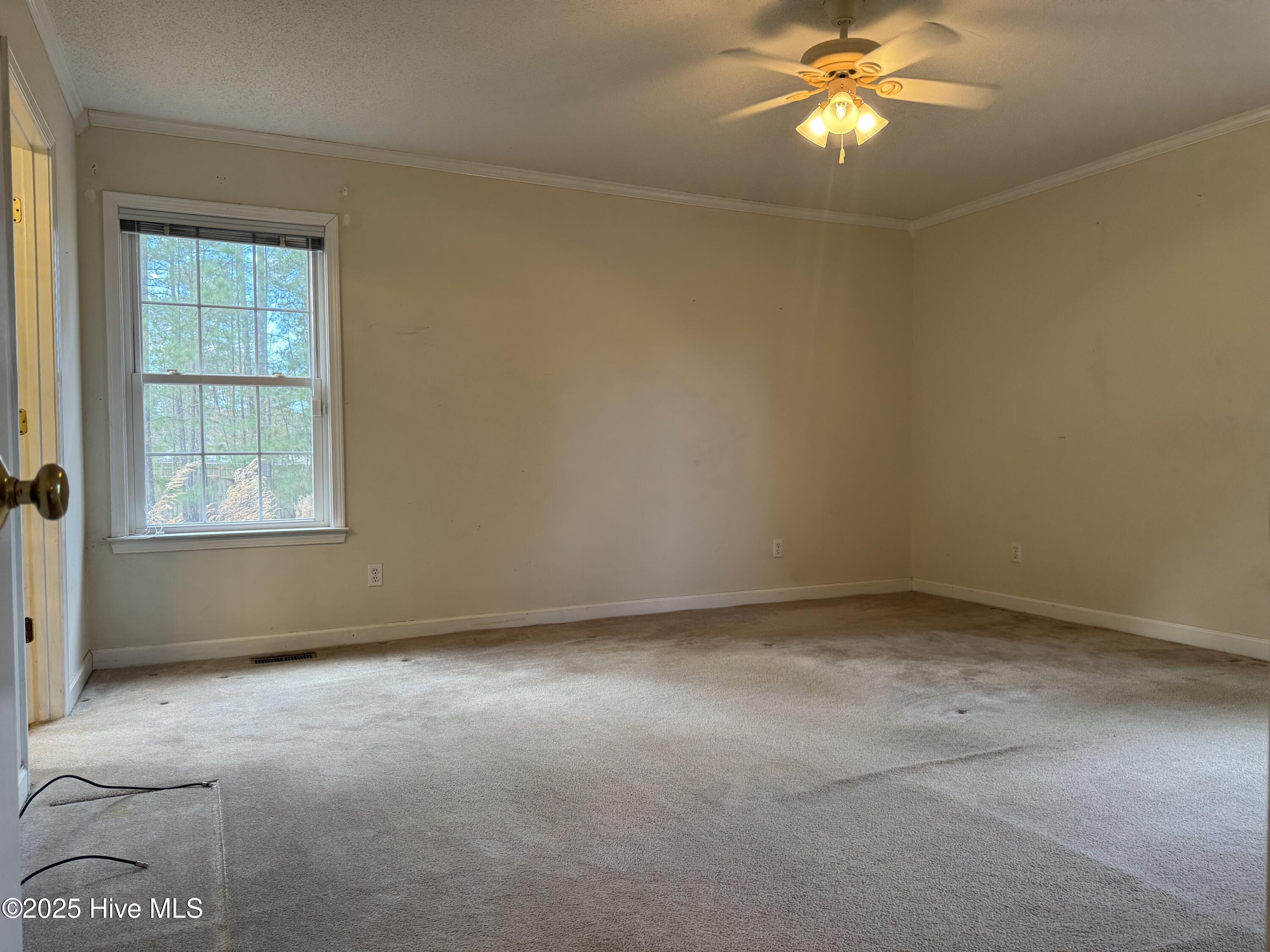 107 Switch Road Hamlet, NC 28345 - Photo 11 of 15 primary