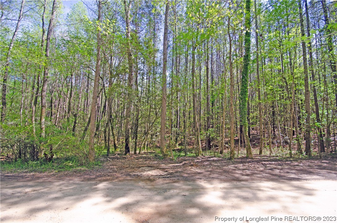 0 Border Lee Road Cameron, NC 28326 - Photo 2 of 10