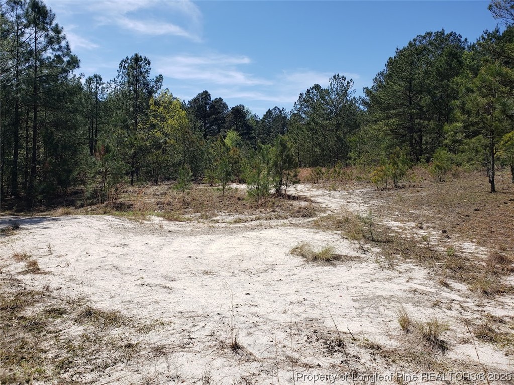 0 Border Lee Road Cameron, NC 28326 - Photo 3 of 10 a view of a yard with trees in the background