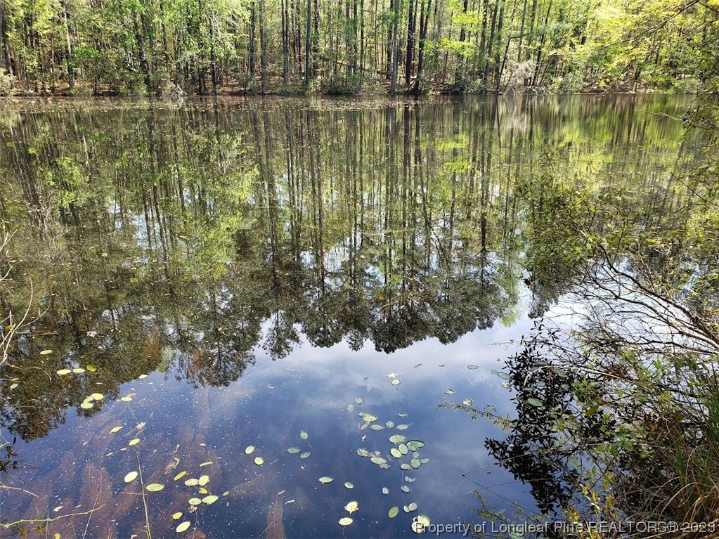 0 Border Lee Road Cameron, NC 28326 - Photo 5 of 10 a view of lake with green space
