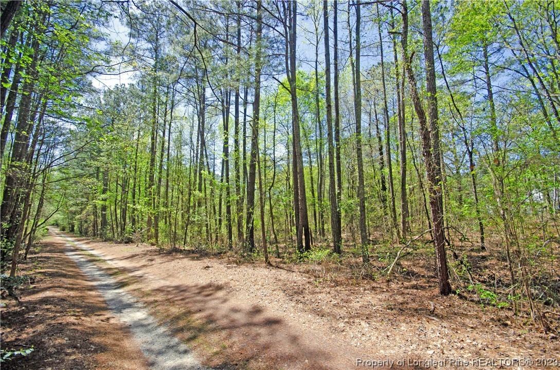 0 Border Lee Road Cameron, NC 28326 - Photo 6 of 10 a view of backyard