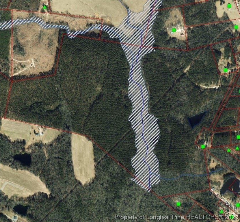 0 Border Lee Road Cameron, NC 28326 - Photo 9 of 10