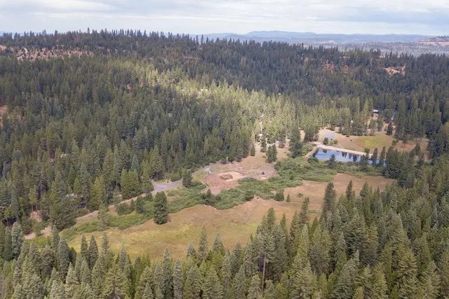 a view of a yard with a tree