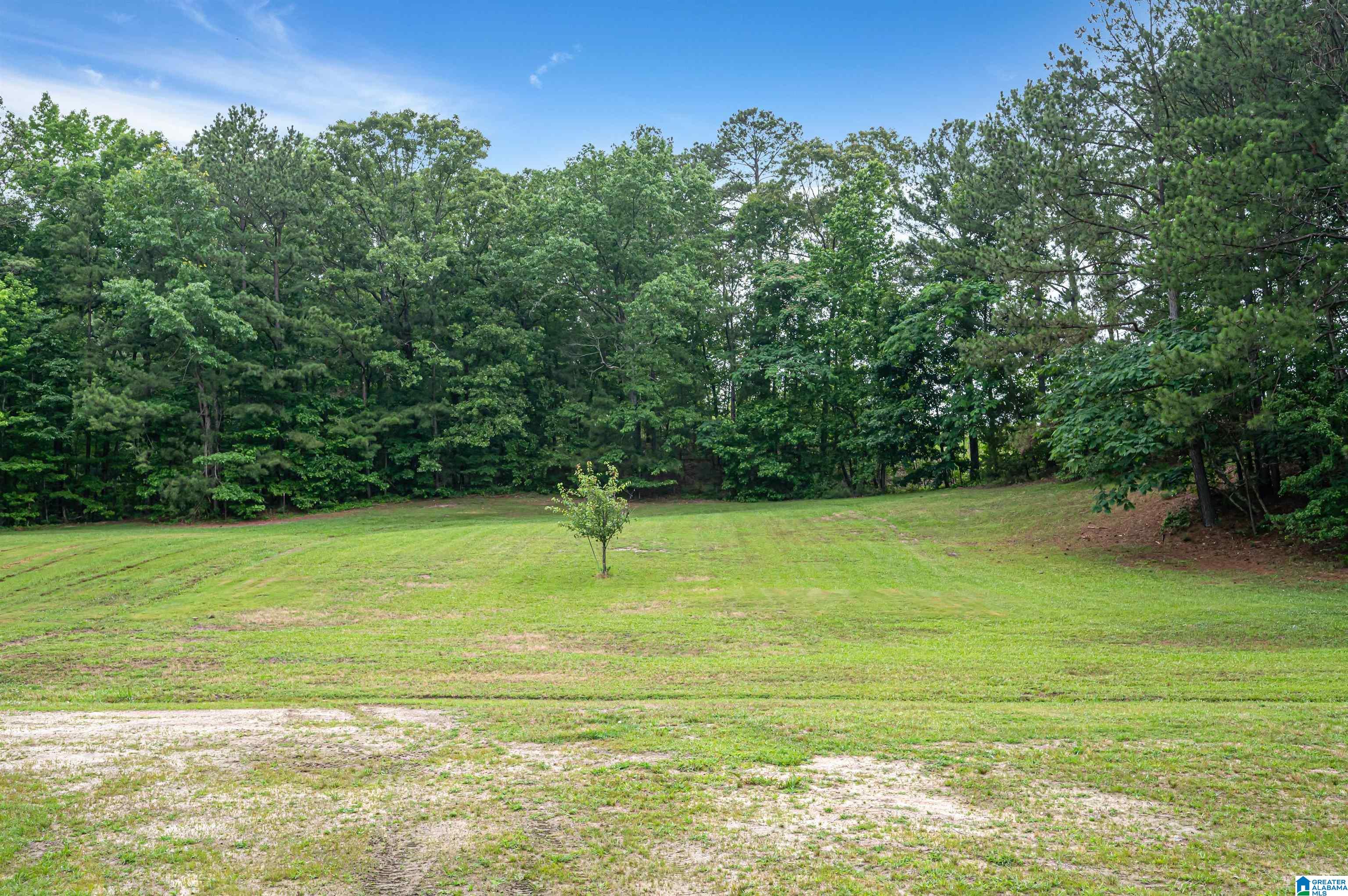 3869 Highway 155 Montevallo, AL 35115 - Photo 42 of 66