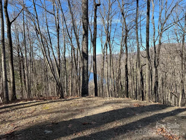 a view of a backyard of the house