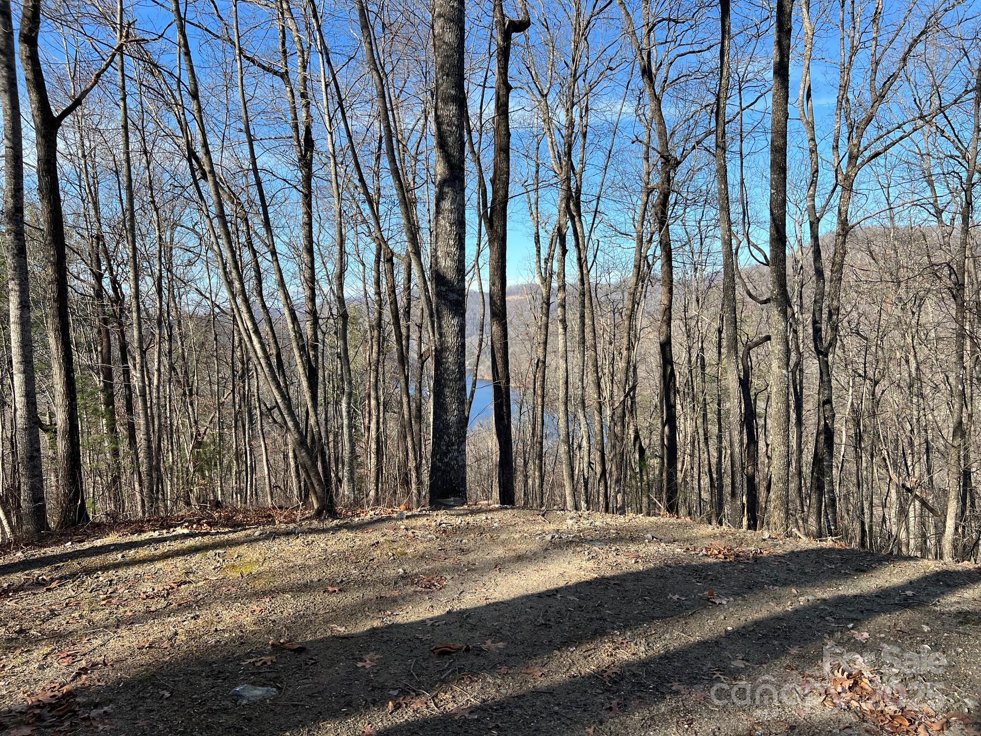 a view of a backyard of the house