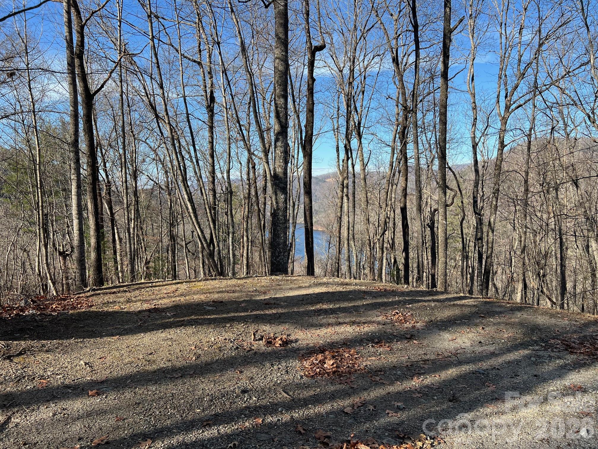 762 Scarlet Oak Road Tuckasegee, NC 28783 - Photo 11 of 26 a view of a backyard with white house