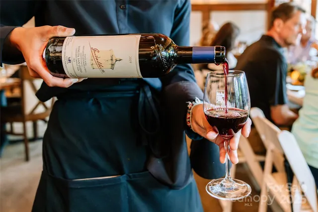 a view of a park with large trees