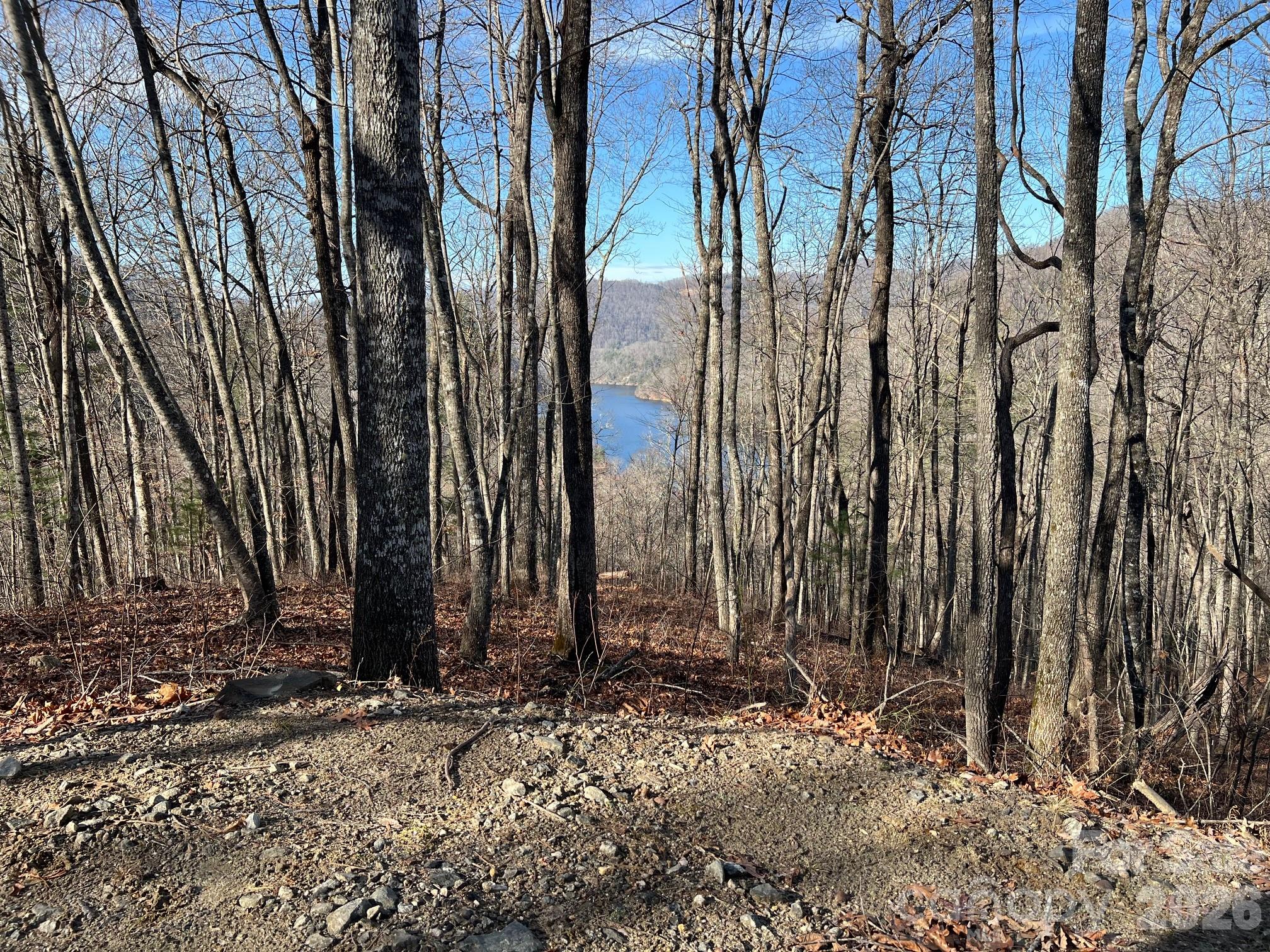762 Scarlet Oak Road Tuckasegee, NC 28783 - Photo 12 of 26 a view of a backyard