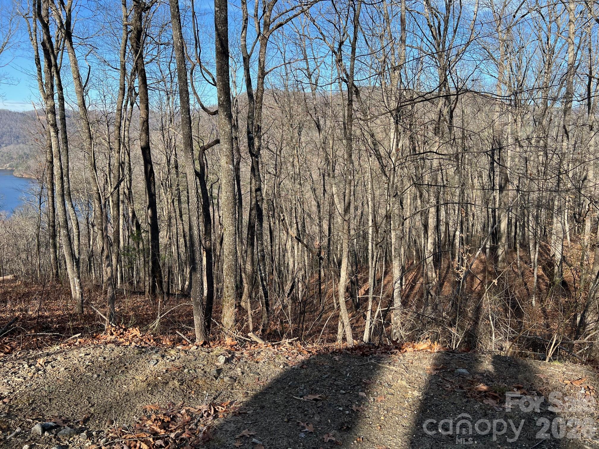 762 Scarlet Oak Road Tuckasegee, NC 28783 - Photo 13 of 26 a view of a backyard of the house