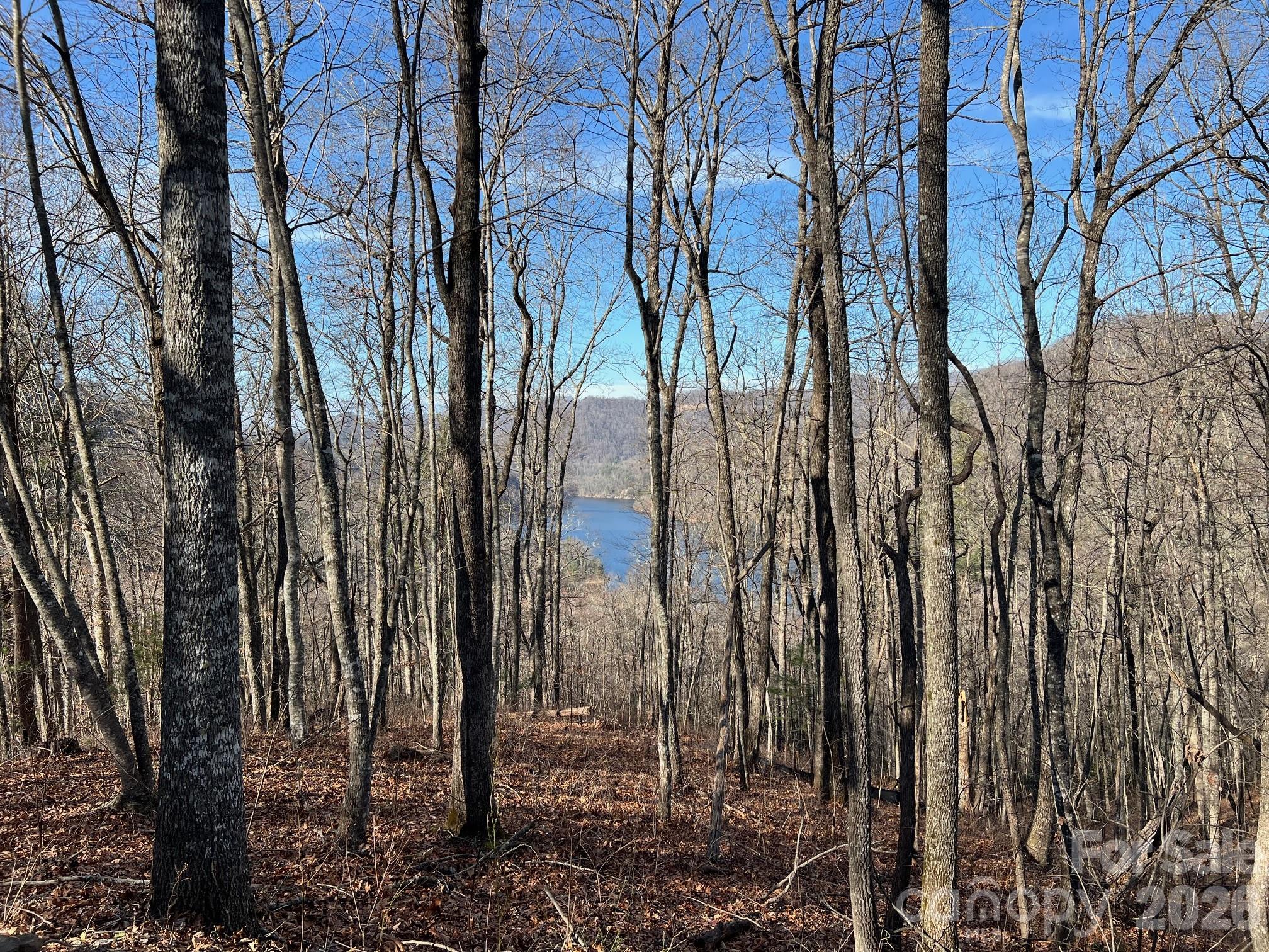 762 Scarlet Oak Road Tuckasegee, NC 28783 - Photo 14 of 26 a view of a yard with trees