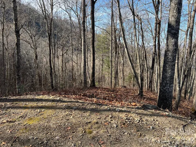 a view of a lake with a mountain