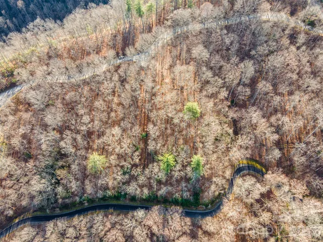 a view of a lake with a tree