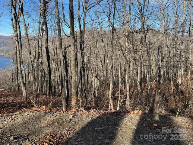 a view of a backyard of the house