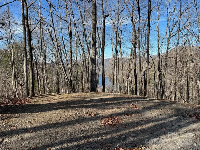 a view of a backyard with white house