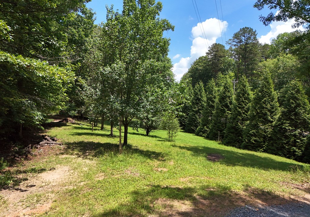 3373 Hardscrabble Road Mineral Bluff, GA 30559 - Photo 6 of 50 Gallery Image 6