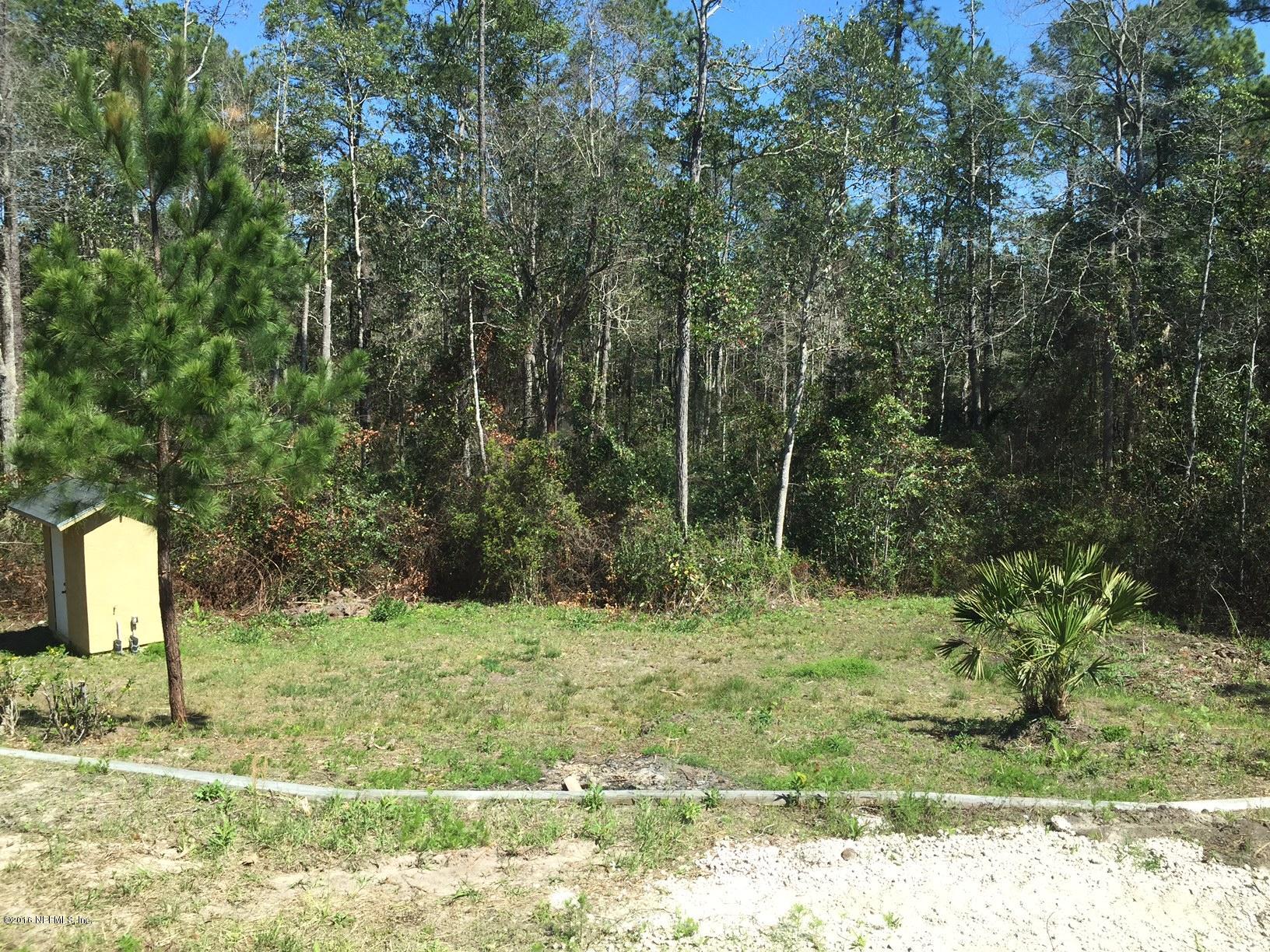 4441 Witch Hazel Road Middleburg, FL 32068 - Photo 29 of 30 IMG_9360