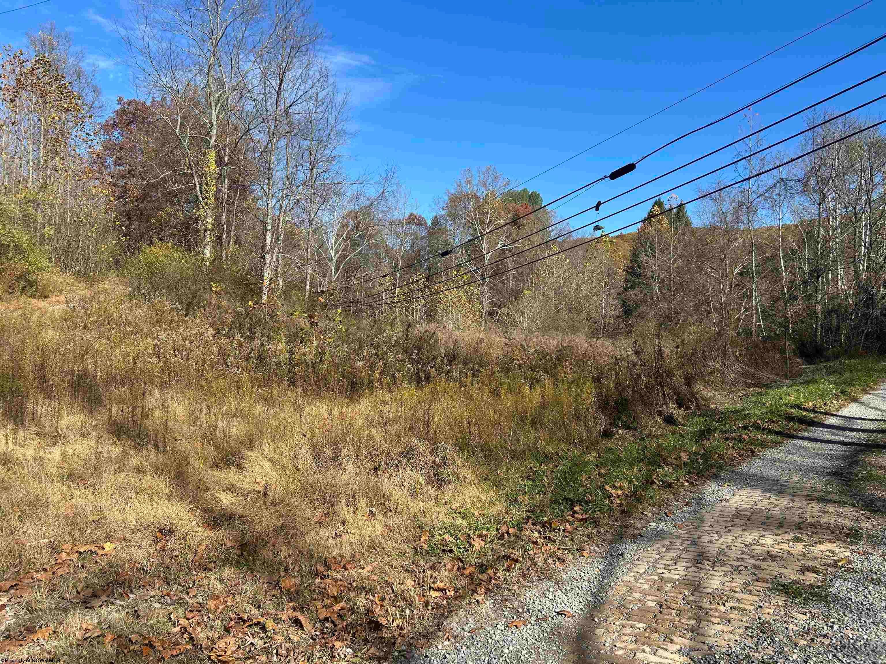 Tbd Tbd Pyles Mannington, WV 26582 - Photo 3 of 10 Gallery Image 3