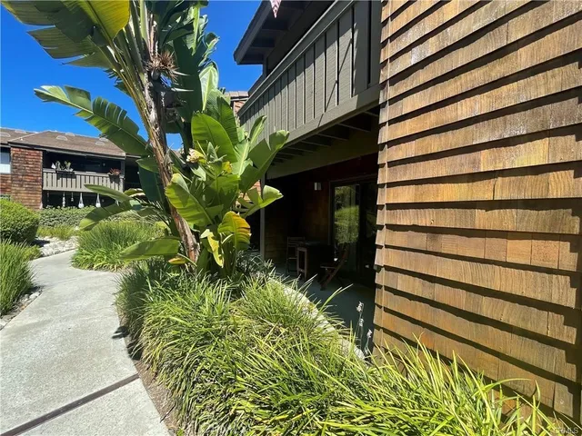 a plant that is in front of a building