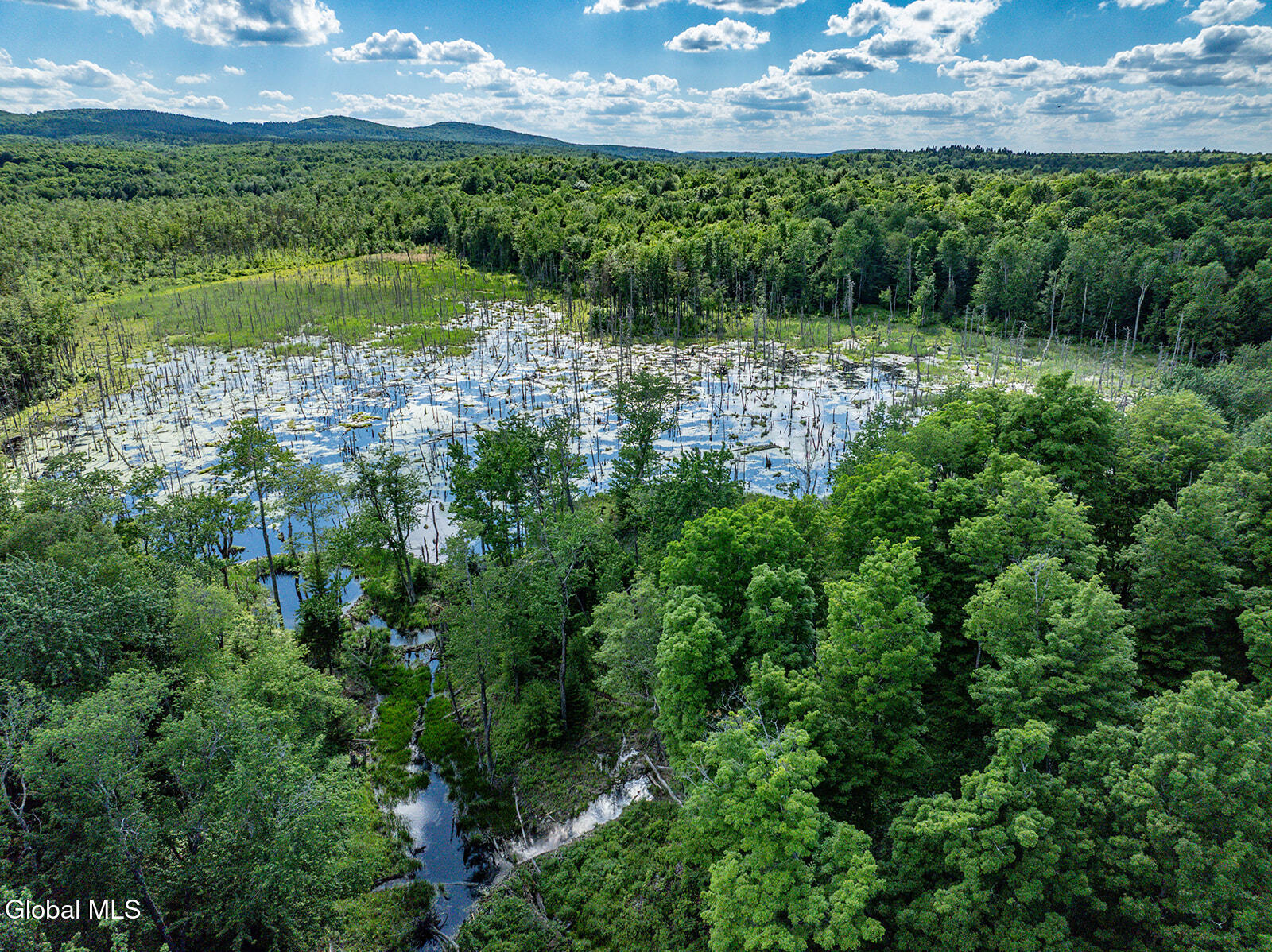 269 Federal City Road Broome, NY 12469 - Photo 5 of 43 DJI_0767