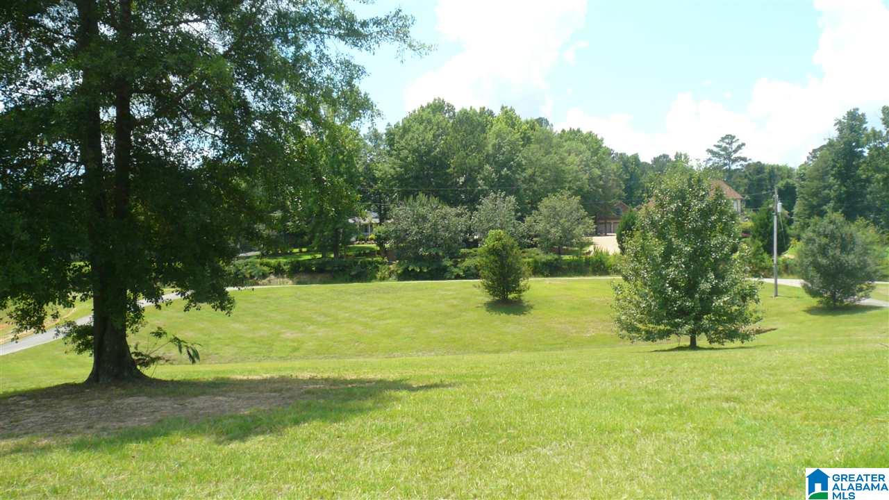4690 Hollis Goodwin Road Empire, AL 35063 - Photo 1 of 7