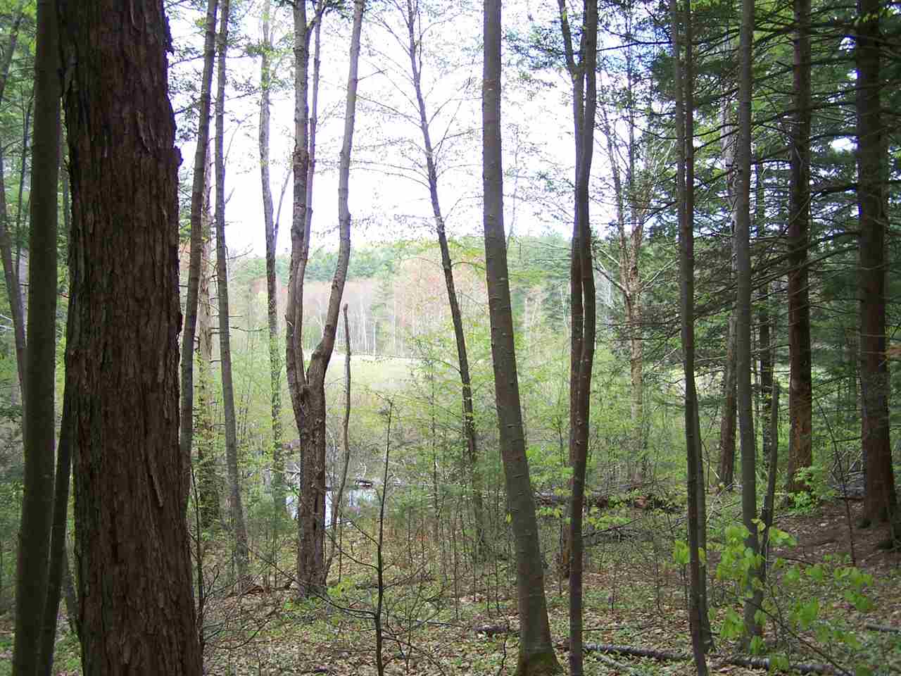 B/l Woodman Road South Hampton, NH 03827 - Photo 4 of 9 Gallery Image 4