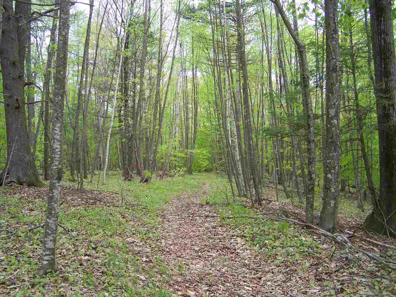B/l Woodman Road South Hampton, NH 03827 - Photo 5 of 9 Gallery Image 5