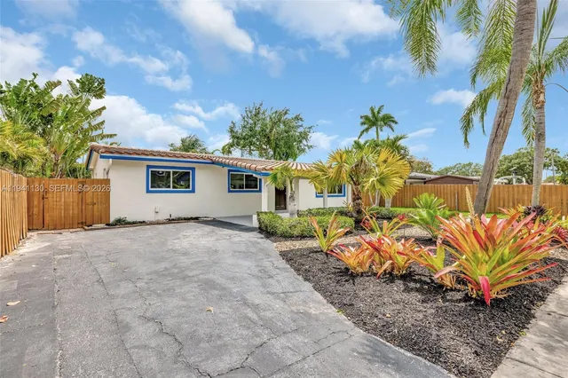 a view of a backyard with plants and a large tree