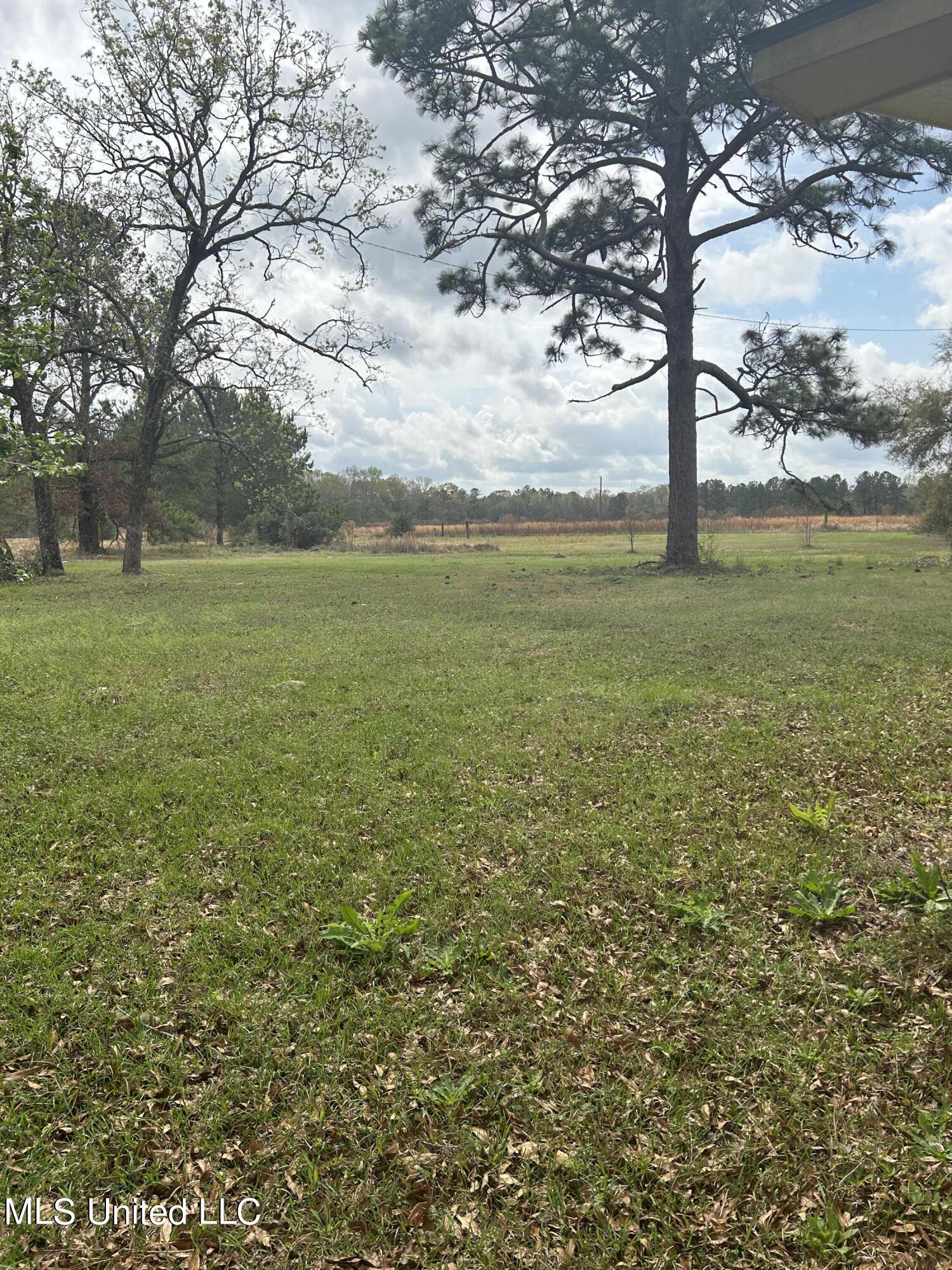 123 Oscar Howard Road Lucedale, MS 39452 - Photo 12 of 13 384F3381-D27A-4149-A9B5-2569F65073A4