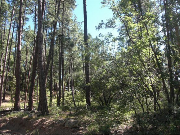 1061 East Stagecoach Road Prescott, AZ 86303 - Photo 2 of 6 Additional Photo