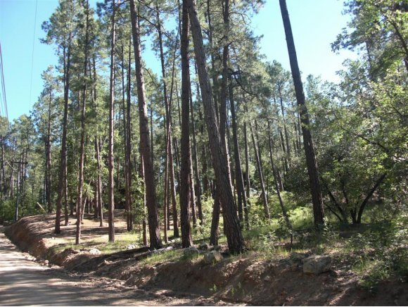 1061 East Stagecoach Road Prescott, AZ 86303 - Photo 3 of 6 Additional Photo
