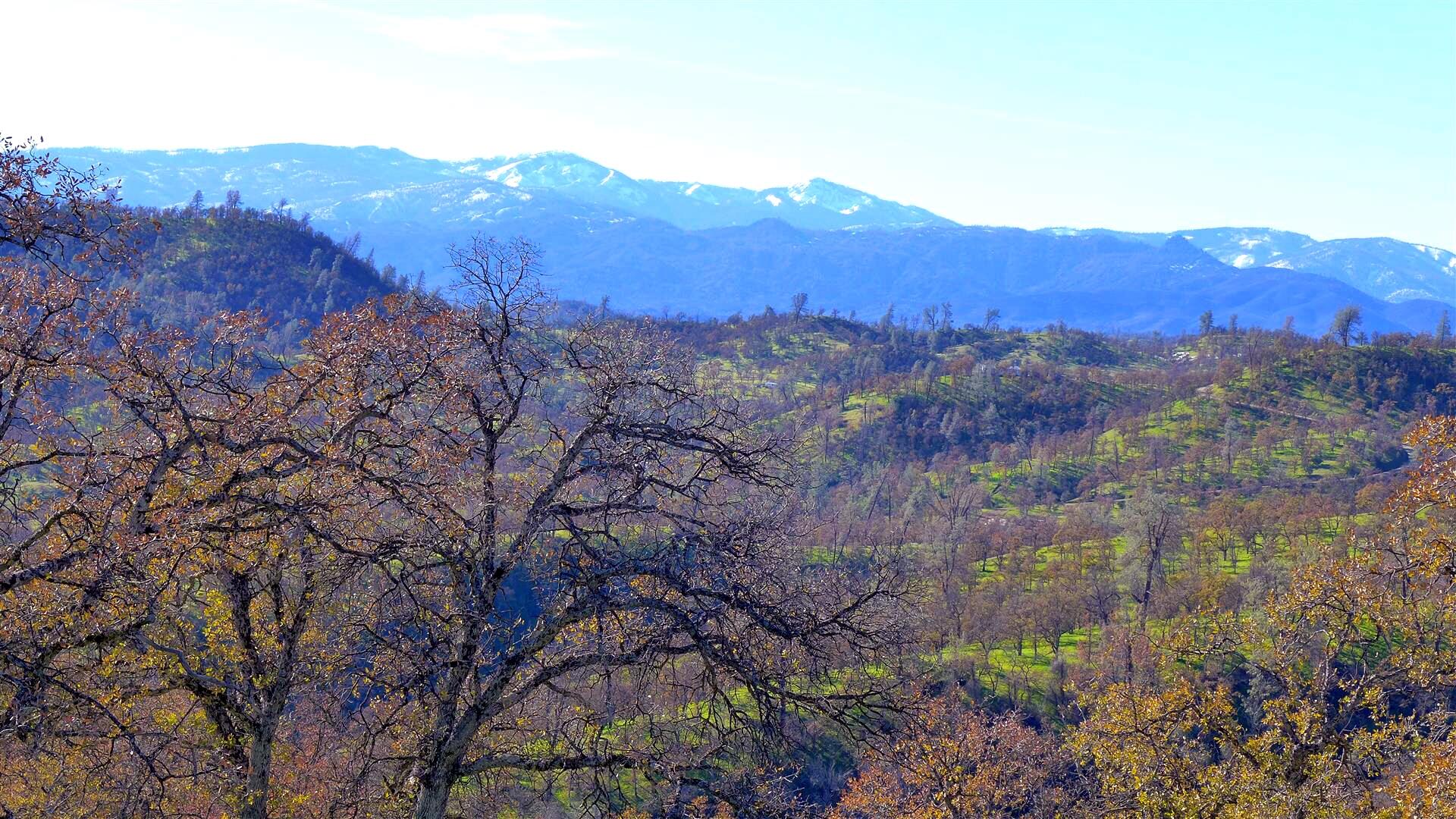 Lot 83 Roaring Creek Road Igo, CA 96047 - Photo 15 of 21 a view of a lush green hillside and a building