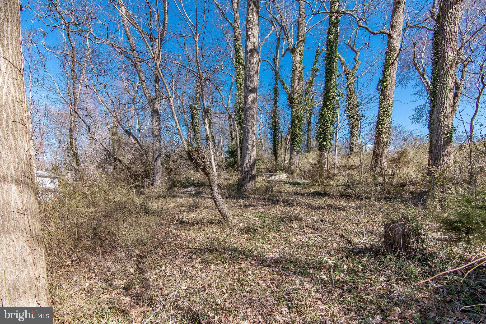 7017 Grove Road Alexandria, VA 22306 - Photo 42 of 49 Gallery Image 42
