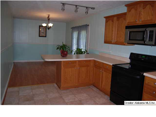 952 Carson Lane Southwest Jacksonville, AL 36265 - Photo 6 of 20