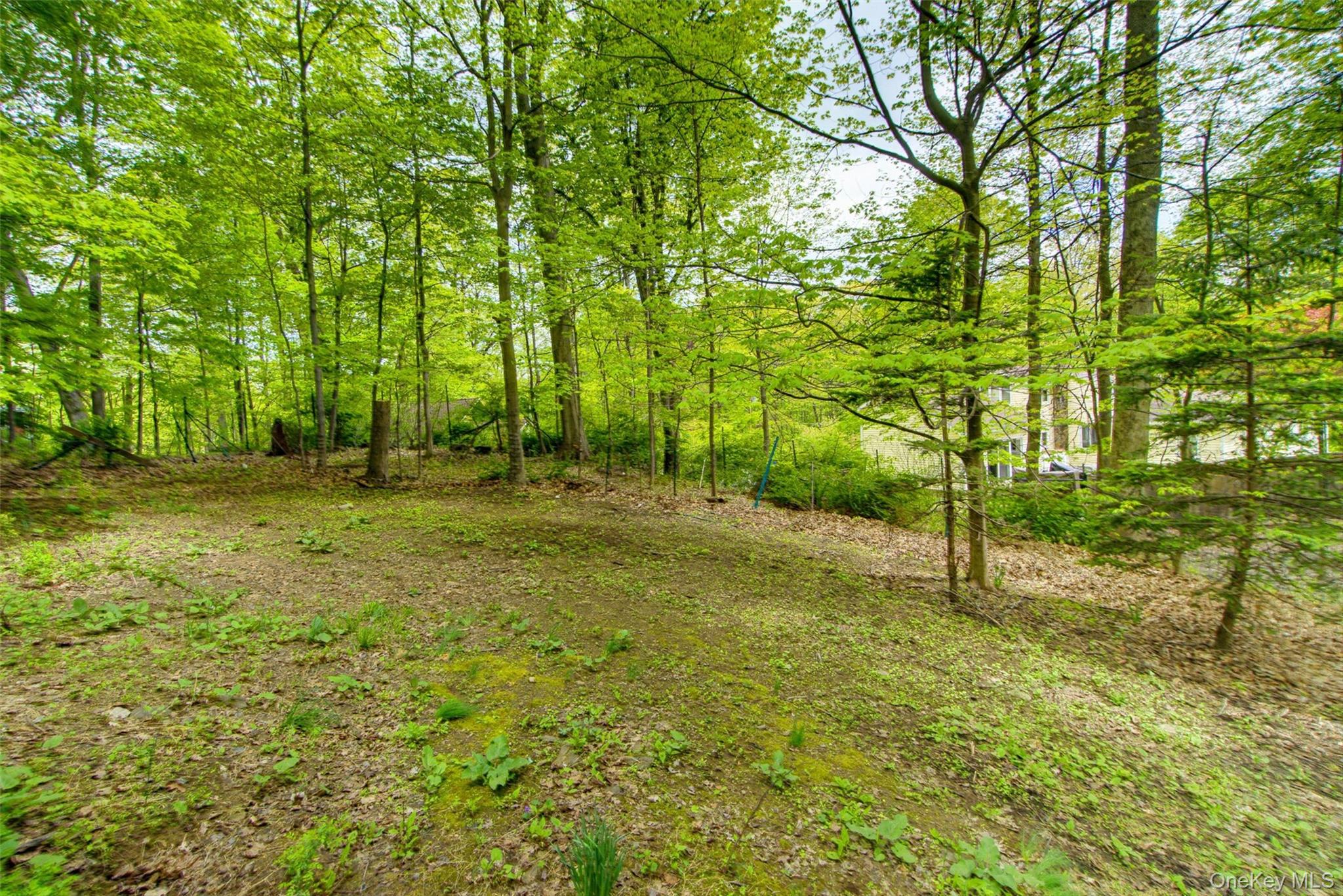 98 South Mount Airy Road Croton-on-Hudson, NY 10520 - Photo 33 of 36 a view of a garden with a tree