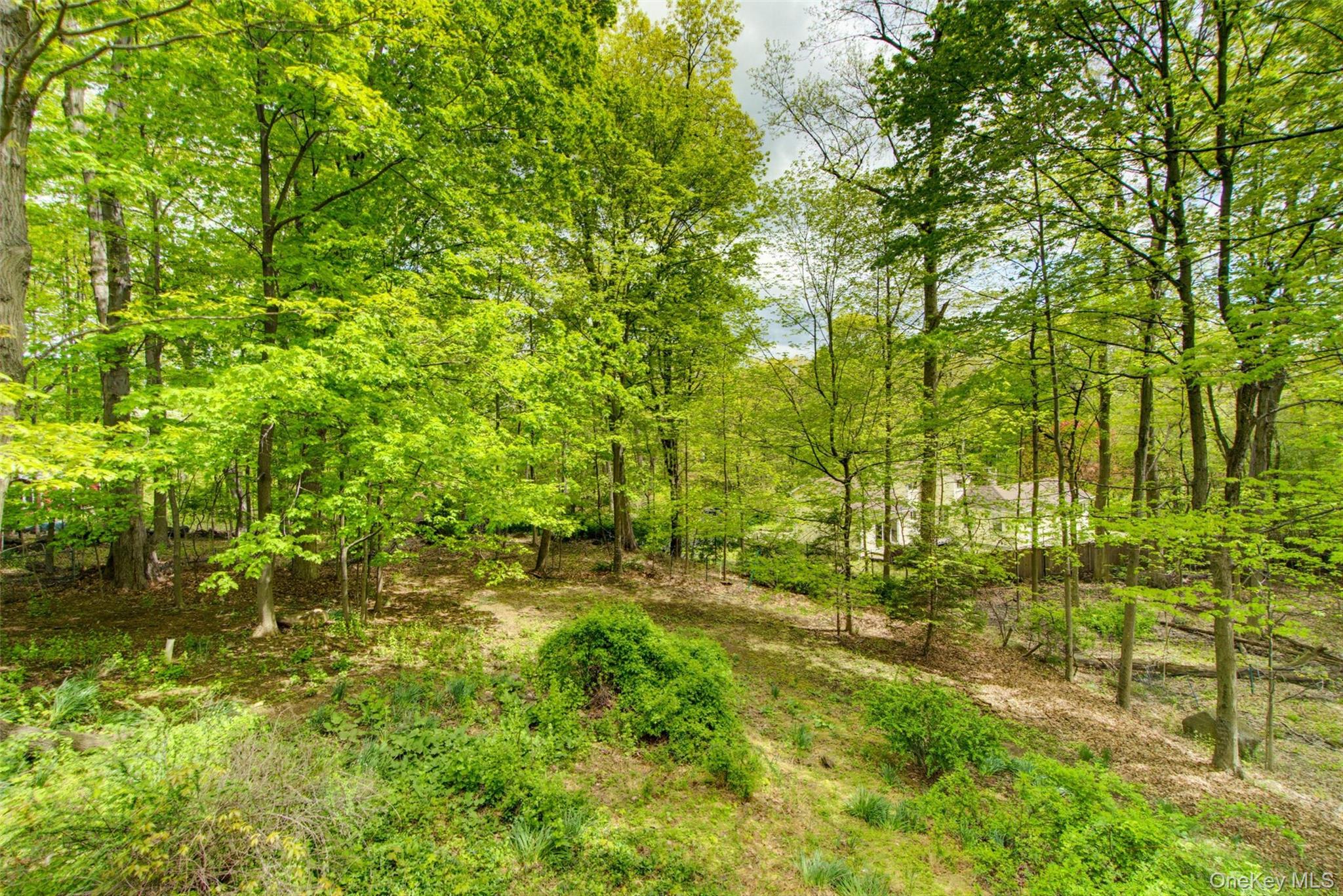 98 South Mount Airy Road Croton-on-Hudson, NY 10520 - Photo 35 of 36 a view of a yard with plants and large trees