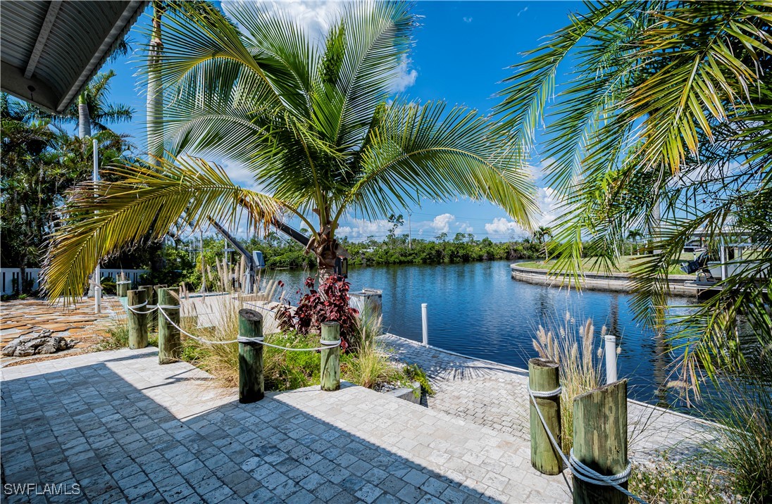 a view of a lake with a palm tree