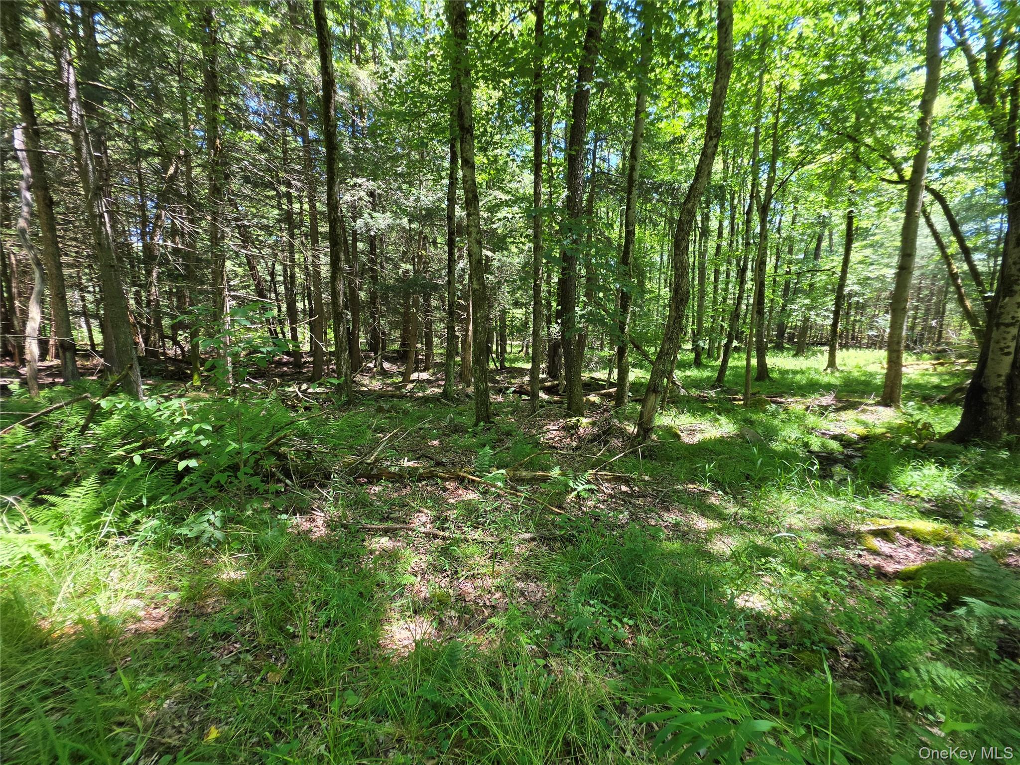 Tbd Camp Kennybrook Road Monticello, NY 12701 - Photo 4 of 34