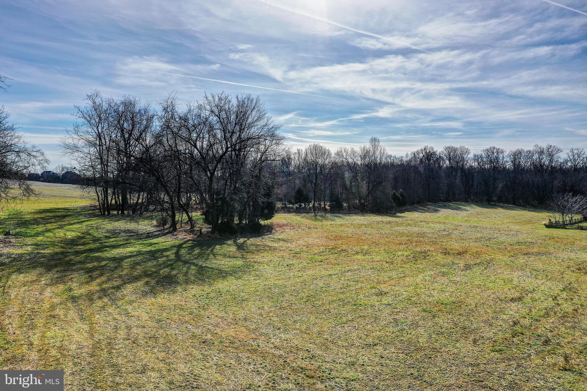 15313 Darnestown Road Germantown, MD 20874 - Photo 15 of 17 a view of a yard with an trees