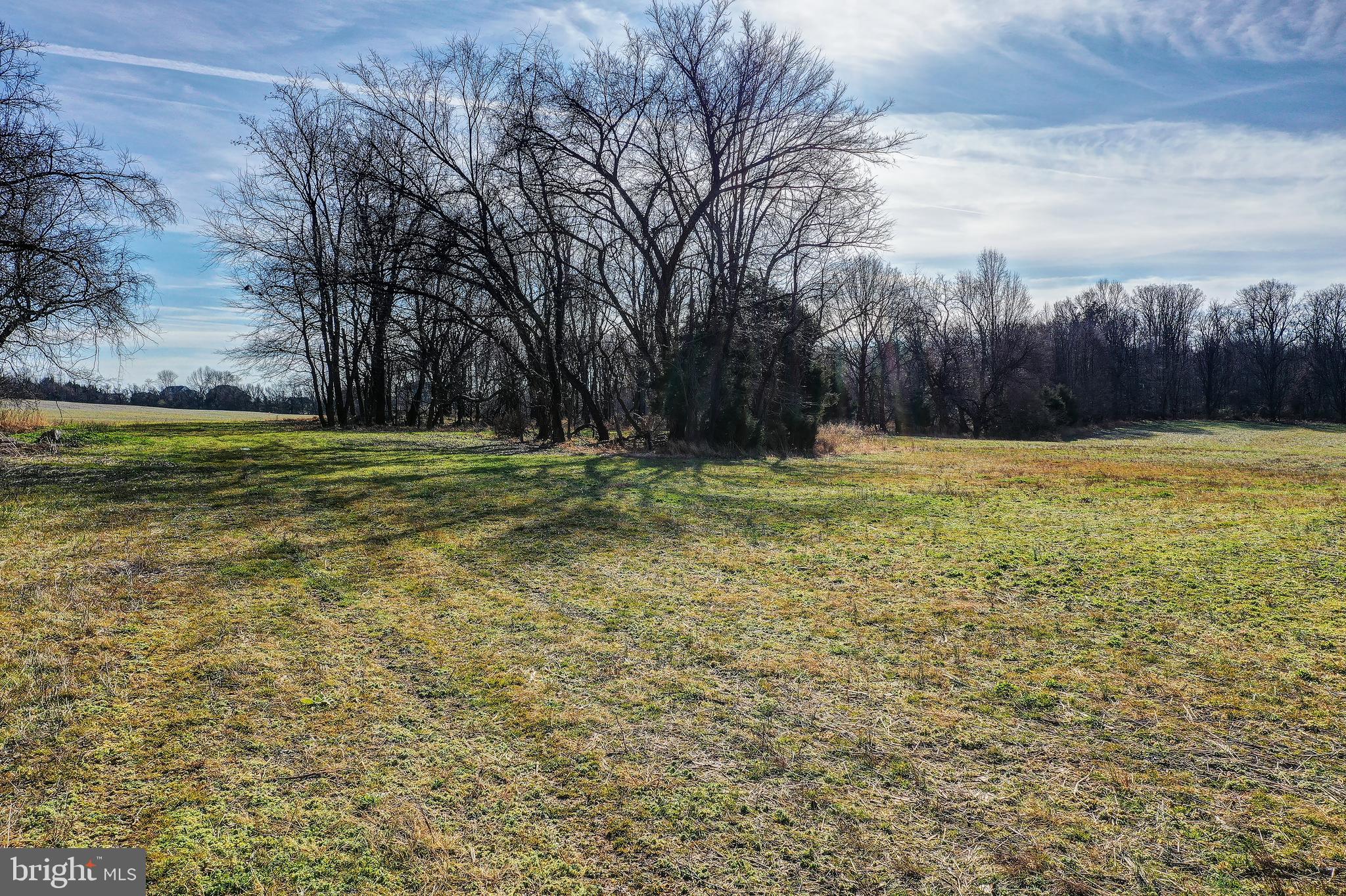 15313 Darnestown Road Germantown, MD 20874 - Photo 16 of 17 a view of a pool with a yard