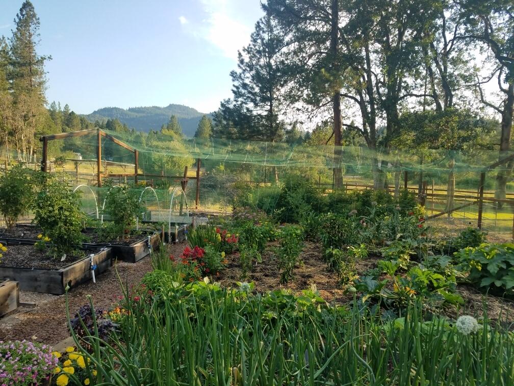 6635 Crowfoot Road Trail, OR 97541 - Photo 55 of 70 Garden 3