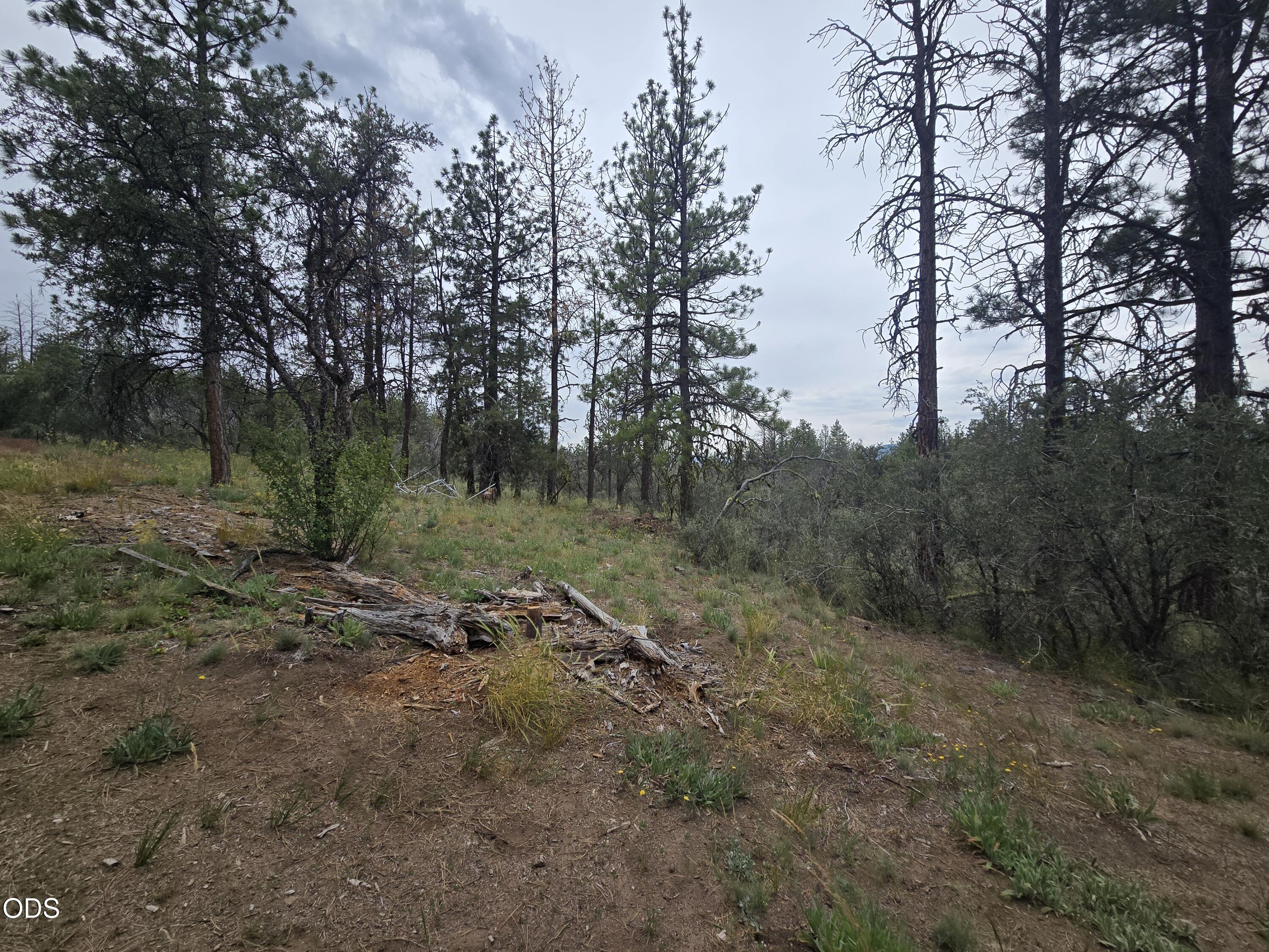 0 Partin Drive, Unit 5 Beatty, OR 97621 - Photo 6 of 15