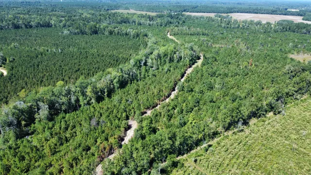 $467,500 | 0 Beavers Pass Road, Smoaks, SC 29481