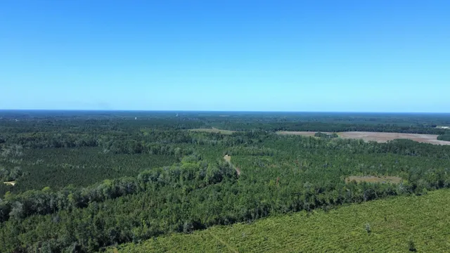 $467,500 | 0 Beavers Pass Road, Smoaks, SC 29481