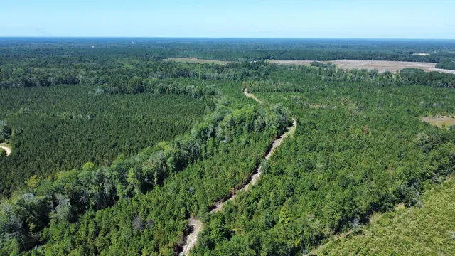 $467,500 | 0 Beavers Pass Road, Smoaks, SC 29481