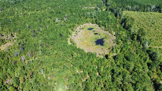 $467,500 | 0 Beavers Pass Road, Smoaks, SC 29481