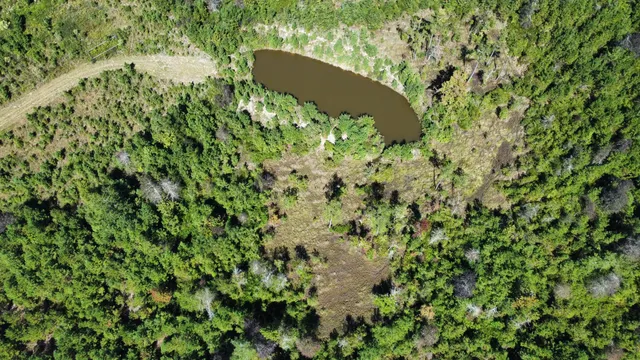 $467,500 | 0 Beavers Pass Road, Smoaks, SC 29481