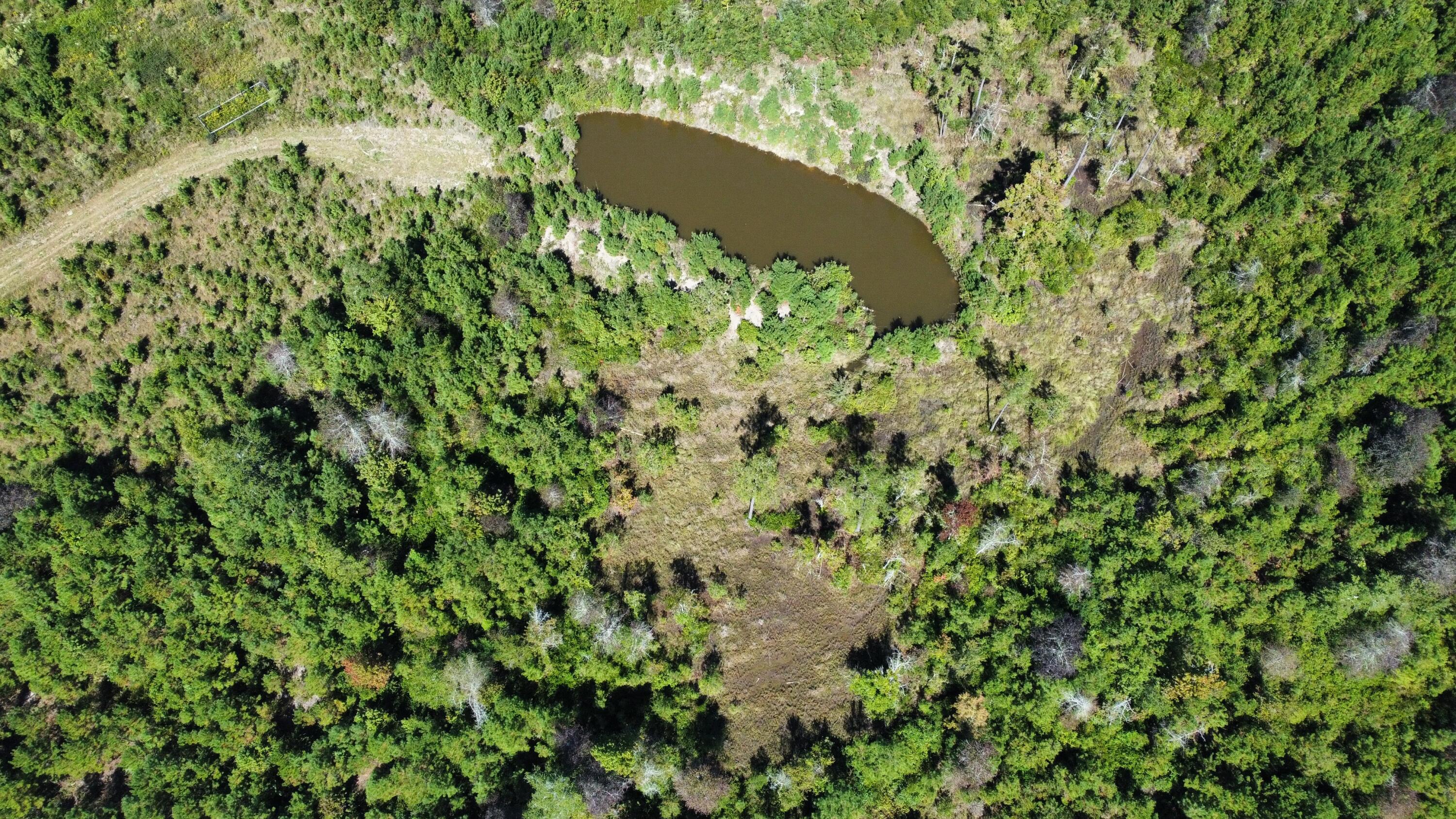 0 Beavers Pass Road Smoaks, SC 29481 - Photo 5 of 7 dji_fly_20251003_134504_526_175951424713